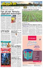 Trichy Supplement