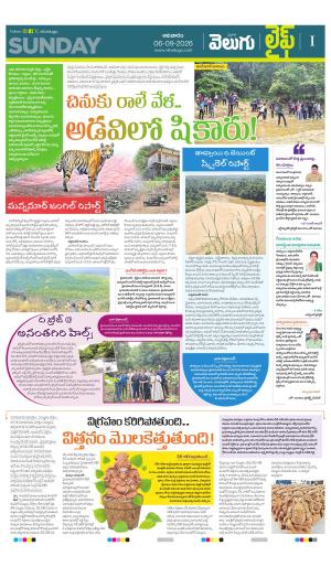 Life Edition