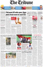 The Tribune