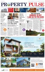 Property Pulse
