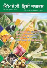 Punjabi Magazine-JANUARY-2015