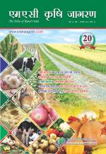 Hindi Magazine-JANUARY-2015