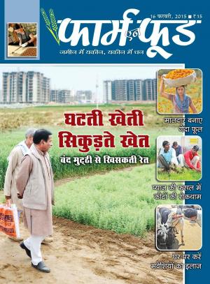 February Second 2015