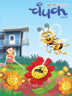 February Second 2015