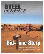 Steel Insights