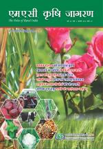 Hindi Magazine-February 2015