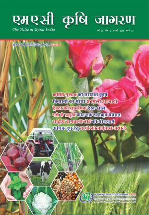 Hindi Magazine-February 2015