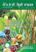 Punjabi Magazine-FEBRUARY 2015