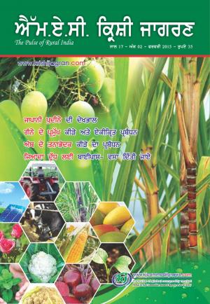 Punjabi Magazine-FEBRUARY 2015