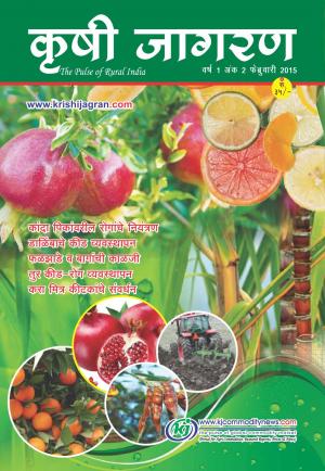 Marathi Magazine-2015