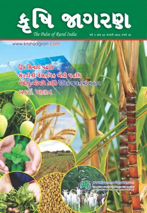 Gujarati Magazine-FEBRUARY 2015