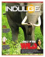 Indulge - Chennai