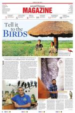 The New Sunday Express Magazine