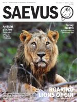 Saevus