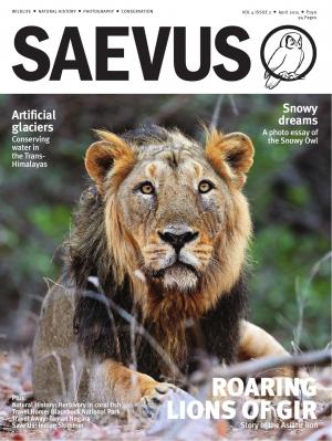 SAEVUS APRIL 2015