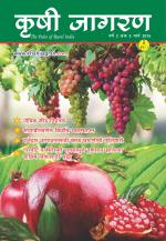 Marathi Magazine-March 2015