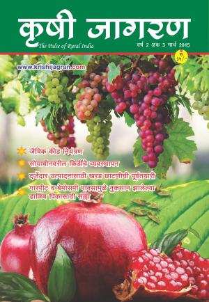 Marathi Magazine-March 2015