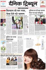 Dainik Tribune (Rohtak Edition)