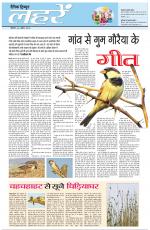Dainik Tribune (Lehrein)