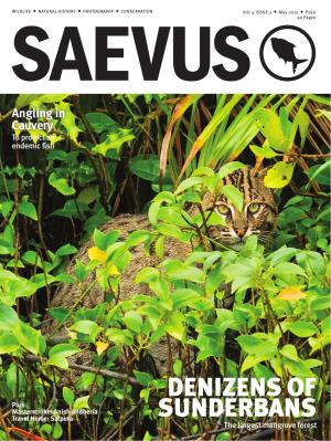 SAEVUS MAY 2015