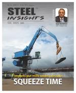 Steel Insights