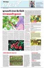 Dainik Tribune (Lehrein)