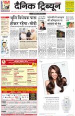 Dainik Tribune (Rohtak Edition)