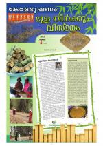 Keralabhooshanam Weekend Supplement