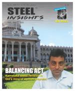 Steel Insights