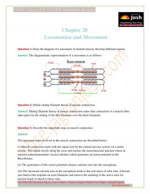 NCERT Solutions for Class 11th Biology Chapter 20 Locomotion and Movement