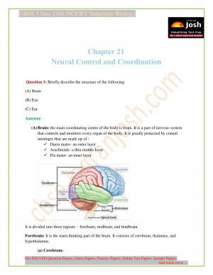 NCERT Solutions for Class 11th Biology Chapter 21 Neural Control and Coordination