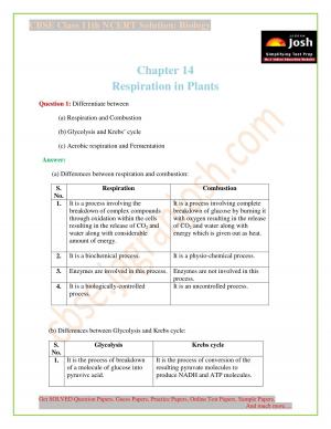 NCERT Solutions for Class 11th Biology Chapter 14 Respiration in Plants