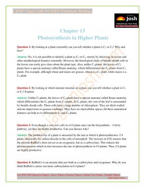 NCERT Solutions for Class 11th Biology Chapter 13 Photosynthesis in Higher Plants