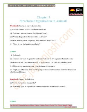 NCERT Solutions for Class 11th Biology Chapter 7 Structural Organisation in Animals