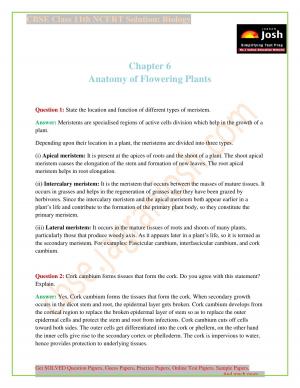 NCERT Solutions for Class 11th Biology Chapter 6 Anatomy of Flowering Plants