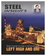 Steel Insights