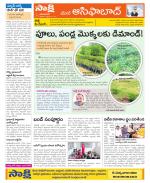 Adilabad Constituencies