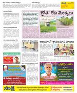 Vijayanagaram Constituencies