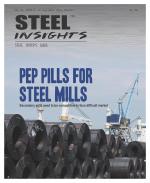 Steel Insights