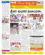 Warangal City Constituencies