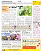 Kurnool Constituencies