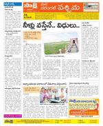 Warangal City Constituencies