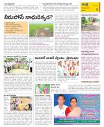 Krishna Constituencies