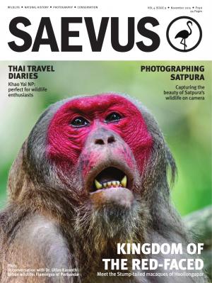 SAEVUS NOVEMBER 2015