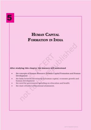 Human Capital Formation