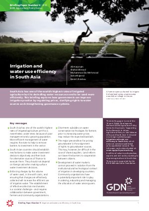 Irrigation and Water Use Efficiency in South Asia