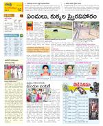 Krishna Constituencies