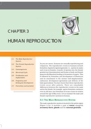 Class 12 NCERT Biology Chapter-3: Human Reproduction