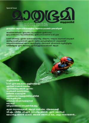 Weekly-2012 October 28