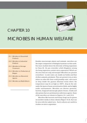 Class 12 NCERT Biology Chapter-10: Microbes in Human Welfare